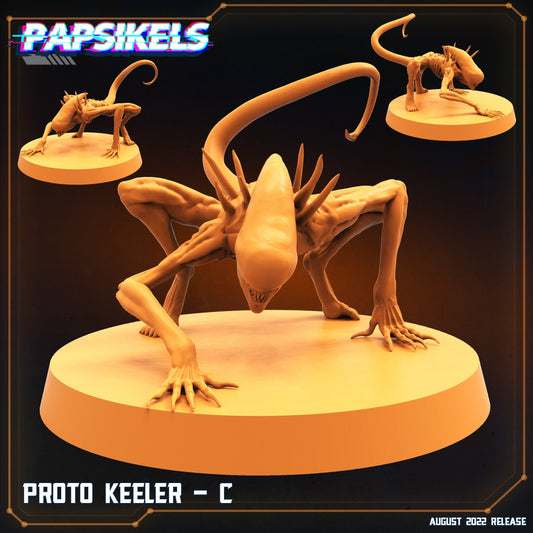 Proto Keeler C, Papsikels