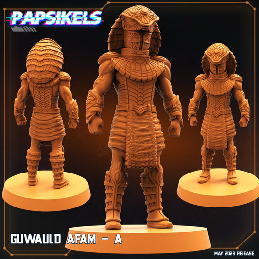 Star Entrance, Afam body A, Papsikels